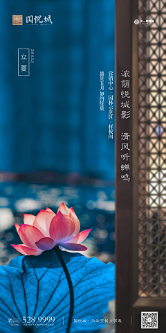 冬风恋旧城采集到节气