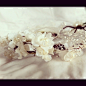 Ivory floral hair wreath / headband, bridal的图片