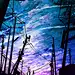 ACG里美美的场景~、ACG里美美的场景、高清、二次元、ACG、同人、场景、美男、插画、宅腐、和风、pixiv、银魂