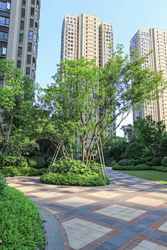XingFuML采集到杭州龙湖春江彼岸实景照片