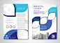 Vector Brochure Flyer design Layout template