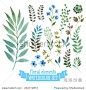 Vector floral set. Colorful floral collection with leaves and flowers, drawing watercolor. Spring or summer design for invitation, wedding or greeting cards 正版图片在线交易平台 - 海洛创意（HelloRF） - 站酷旗下品牌 - Shutterstock中国独家合作伙伴