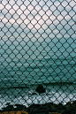 (10) Tumblr