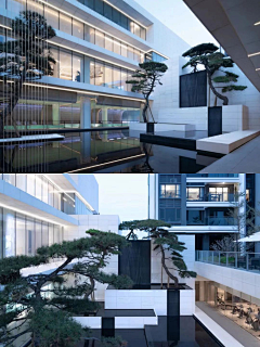 •壹拾柒采集到Landscape-示范区