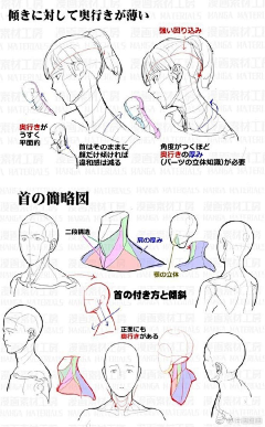 盛夏爱梅子汤采集到人体动态结构