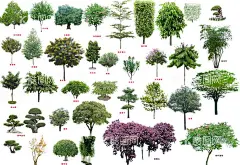 植树节海报  展板 保护环境   - 源文件下载【酷图网】植树节海报,展板,保护环境,绿色环保,公益植树,312植树节,社区活动,树木,素材背景,