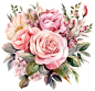 Pink roses. Розовые розы. PNG.