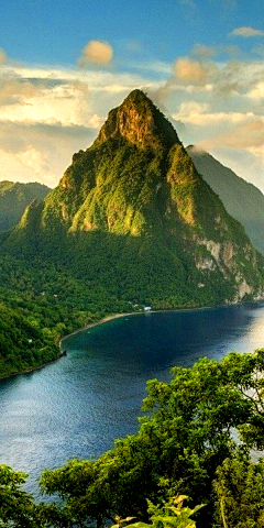 Arp飞忆采集到背景