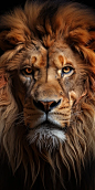 lion detail, macro lens, high details, photorealistic, cinematic lights