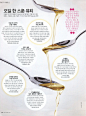CeCi韩国 2014年10月号 [562P] - 流行时尚 - 思缘论坛 平面设计,Photoshop,PSD,矢量,模板,打造最好的素材和设计论坛