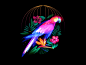 https://cdn.dribbble.com/users/754899/screenshots/5629503/fantasy-parrot.jpg