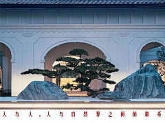 玉米1111采集到石景