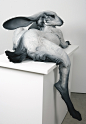 https://followtheblackrabbit.com/portfolio/