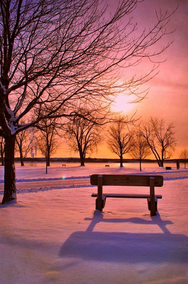 冬季日落，冬天的雪和长凳