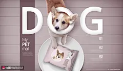 小狗柯基狗狗零食成犬狗粮宠物用品海报 海报招贴 其他海报