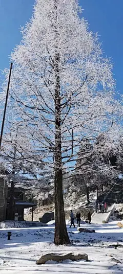 风景壁纸 - 高清图片，堆糖，美图壁纸兴趣社区