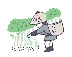 水栽培していた豆苗が、良く育っていました。
豚肉と炒めて食べました。