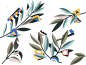 kwara