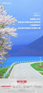 知识星球 | 深度连接铁杆粉丝，运营高品质社群，知识变现的工具