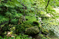 南禅院 | 庭园介绍 | 植弥加藤造园 -始于京都 精心培育日本庭园-