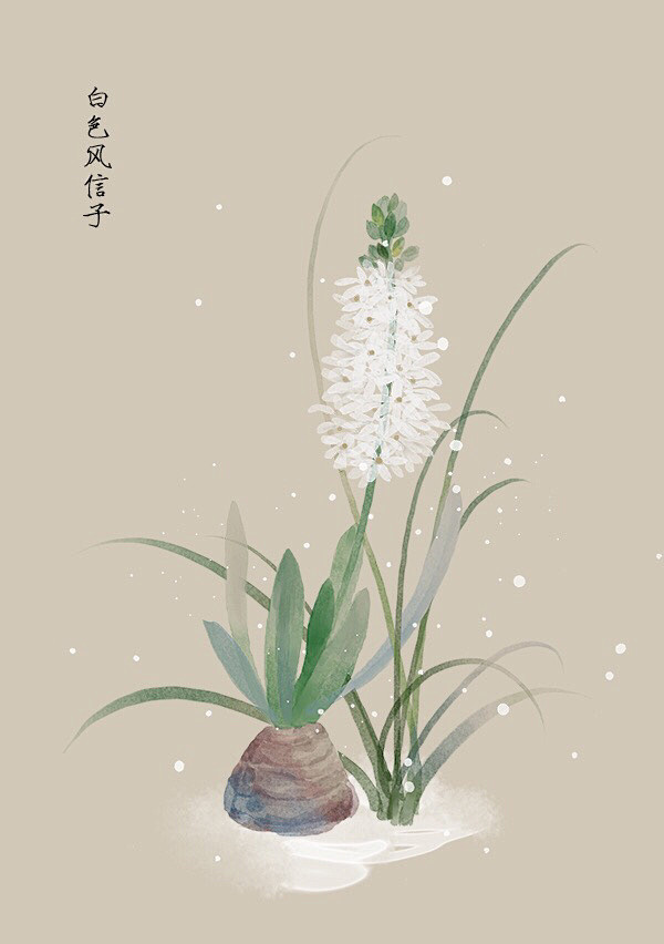 水彩 植物花卉 插画 artistic青...