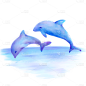 手绘海豚水族馆元素