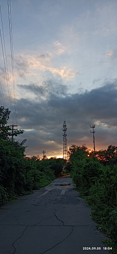 一只可爱飘采集到夕阳之径