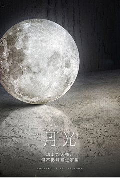 寡人不上朝采集到海报