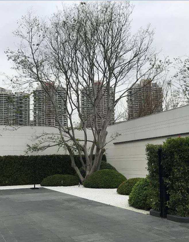 微信图片_20190413084648