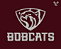 Bobcats