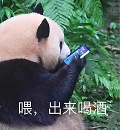 谢谢肉姐2023年贡献的表情包