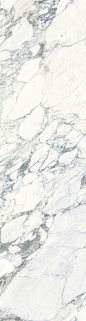 Porcelain Tile | Marble Look Plane Arabescato Vena…: