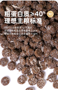 邵小爽采集到背景