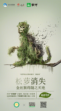 冯可以采集到创意