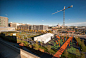 The-Lawn-on-D_03 « Landscape Architecture Works | Landezine