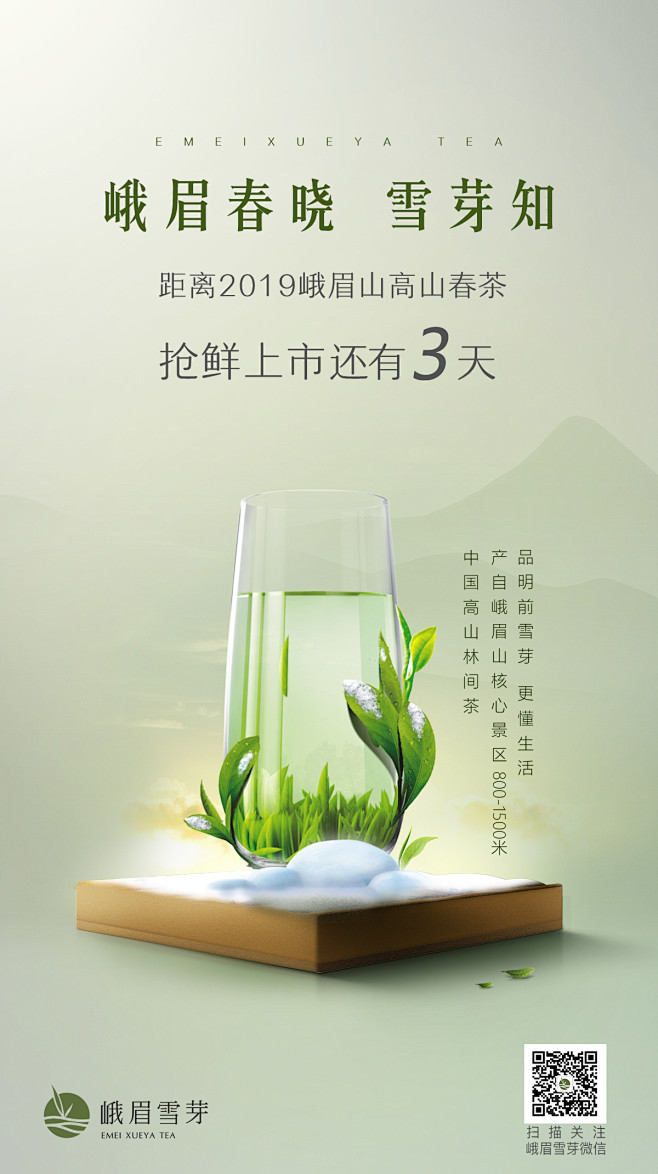 2019微信 春茶 产品  海报