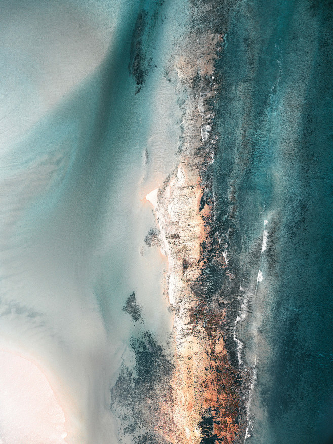 Tropical Reefs : Ree...