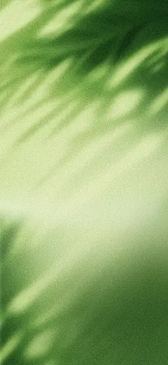 背景分享 _ 呼吸无边无际的绿色_2_九月阿鱼_来自小红书网页版