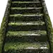 青苔,绿色,石阶,楼梯,下楼,上楼下梯,建筑,工具,阶梯,台阶png