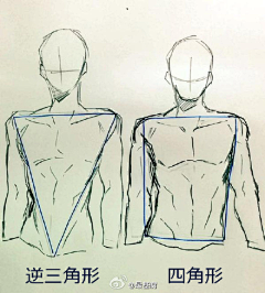 卡不动采集到身体结构