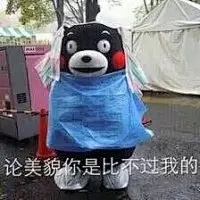 熊本表情包大集合-兴趣部落