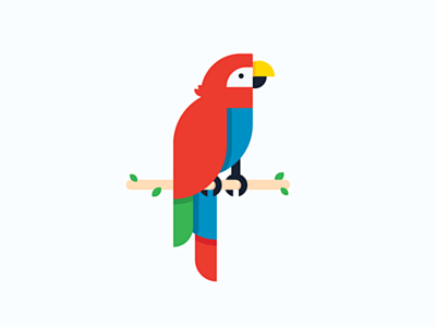 parrot