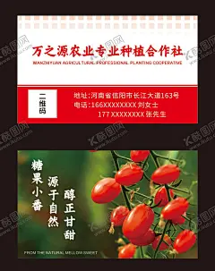 农业名片 【酷图网】名片,绿色,商务,简约,几何,农业,种植,苗木,果蔬,蔬菜名片,番茄名片,果蔬名片,创意名片,花纹名片,大气名片,红色名片,食品名片,公司名片,企业名片,个性名片,高档名片,名片下载,简洁名片,时尚名片,简约名片,商务名片,农产品名片,糖果小番,种植名片,果类名片