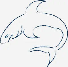 蓝色线条手绘鲨鱼高清素材 6月8号 世界海洋日 大海 大白鲨 手绘鲨鱼 线条鲨鱼 自然 免抠png 设计图片 免费下载