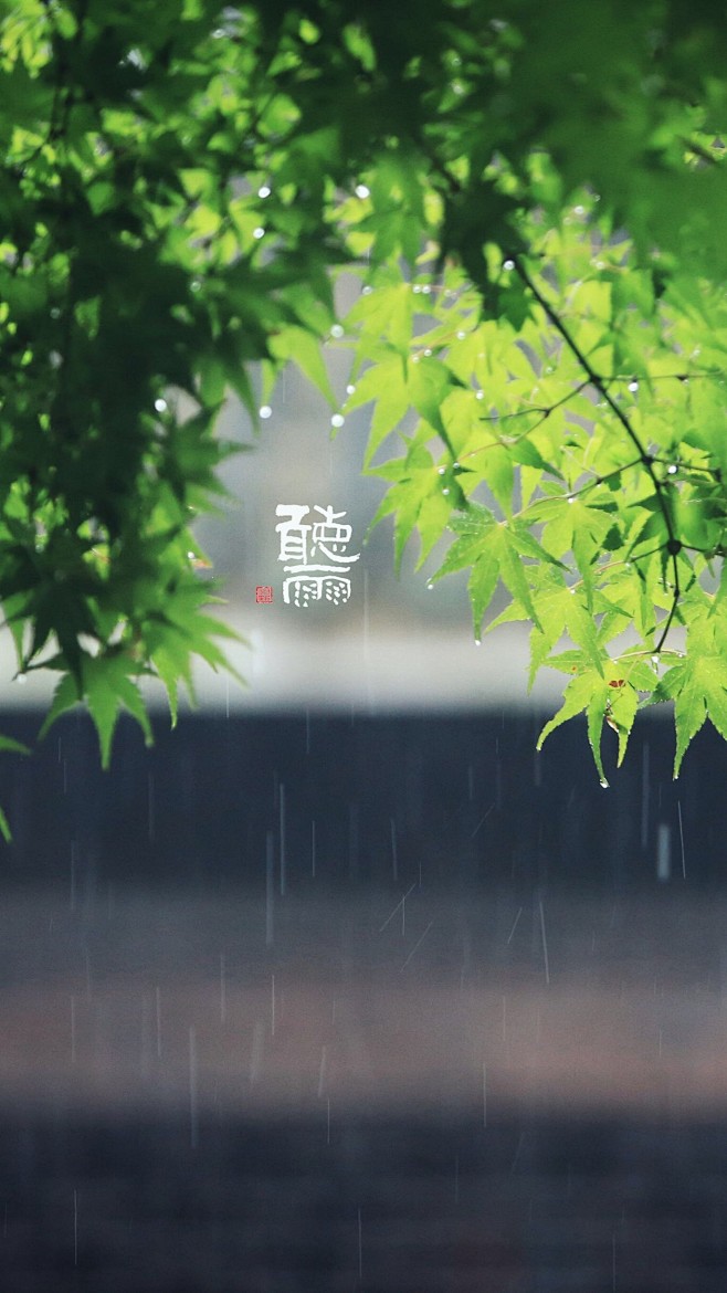 听雨