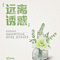 人民日报的微博_微博