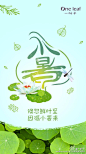 小暑：小暑到，季夏时节正式开始。而我们丰富多彩的暑假，也正式拉开序幕。一叶子粉们，你的暑期活动，都准备好了吗？ ​​​​