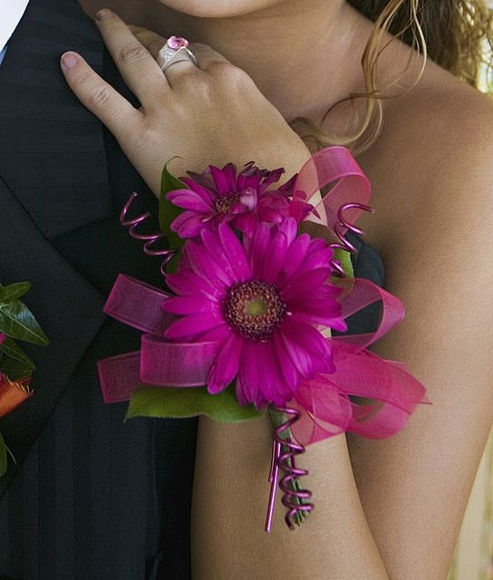 gerber daisy corsage...