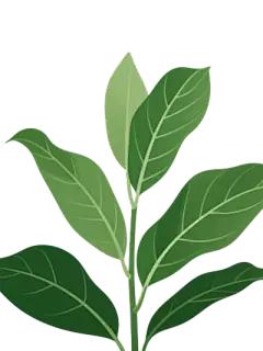 ins风绿植元素插画 (6)