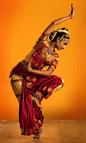 【Bharata Natyam】婆羅多舞，多看看漂亮大姐姐跳这个，有益于理解印度佛像的动作构成，包括表情、动作、手势。